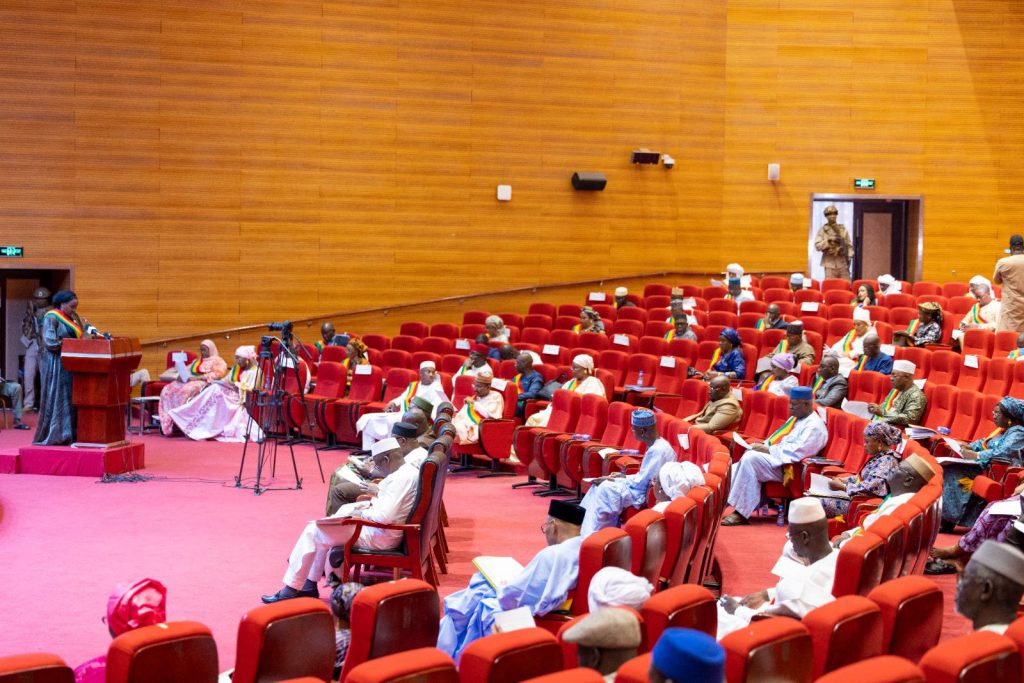 Séance plénière : le Conseil national de Transition adopte plusieurs projets et une proposition de loi