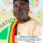 Portrait de Boubacar N. DIALLO