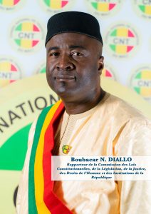 Portrait of Boubacar N. DIALLO