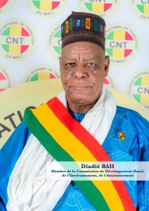 Portrait of Diadié BAH