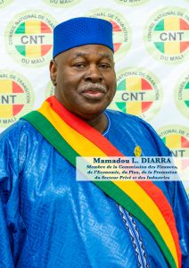 Portrait of Mamadou I. DIARRA