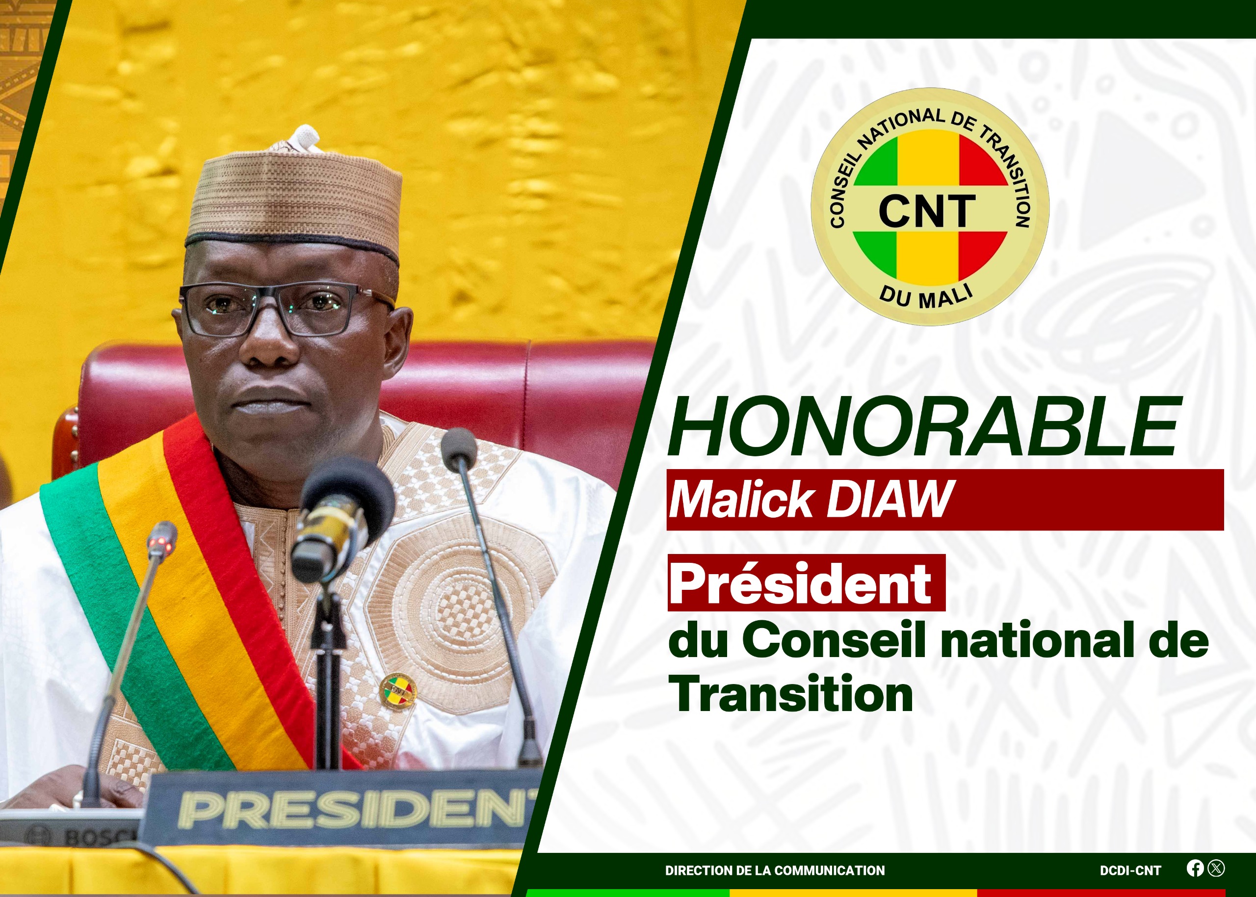Portrait of Malick DIAW, President of the National Transition Council